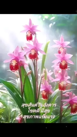 #อรุณสวัสดิ์ยามเช้า #เทรนด์วันนี้ #เพื่อความบันเทิง #เพลงเพราะ #เพลงฮิตtiktok #ขอบคุณเจ้าของภาพ 