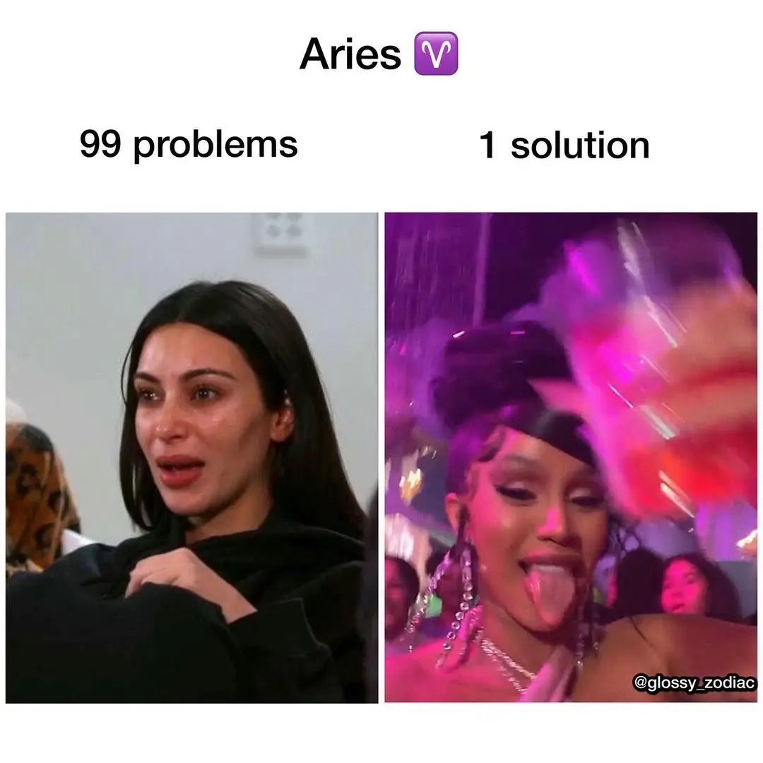 99 problems 1 solution zodiac edition #earthsigns #airsigns #watersigns #firesigns #zodiacparty cr: glossy_zodiac 