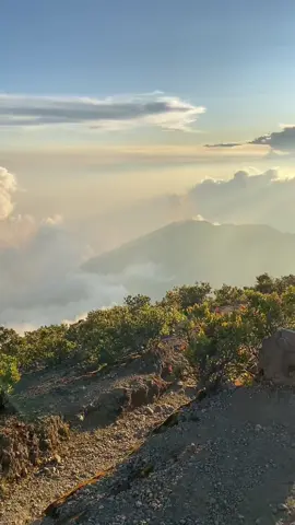 jangan lupa bahagia #daunjatuh #pendakigunung #gununggedepangrango #gunungindonesia 