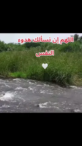 #دزينب #ترندالسعودية @أحمد رأفت - مذيع الشارع 