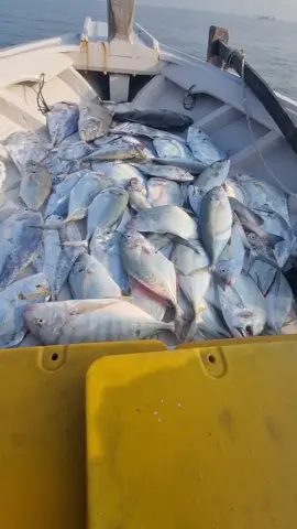 kumpulan ikan  #mancinglaut #karangantubanten #fyp 