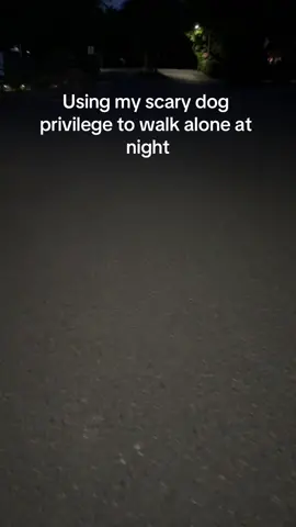 Is it too late to return? #scarydogprivilege #dogs #dogsoftiktok #dog #scary #fypシ゚viral #fypage #trending #relatable #foryou #canecorso 
