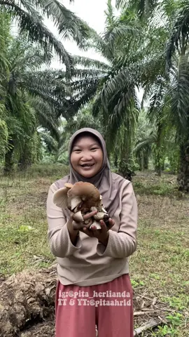 😫🍄 #pitaahrld #minivlog #jamursawit 