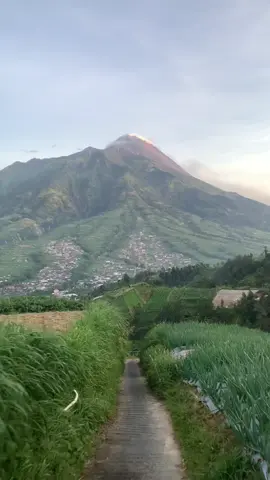 jalan dengan view ter keren, langsung di suguhi sama gagahnya gunung merapi 🥹 #gunung #gunungmerbabu #merbabu #merbabuviagancik #merapi #pendakigunung #pendakiindonesia #tracking #summit 