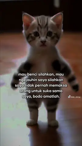bodo amatlah ya😌