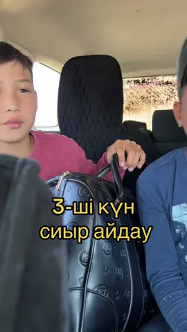 Бүгін 3 күн, Алла қаласа сиыр аулыға жетеді