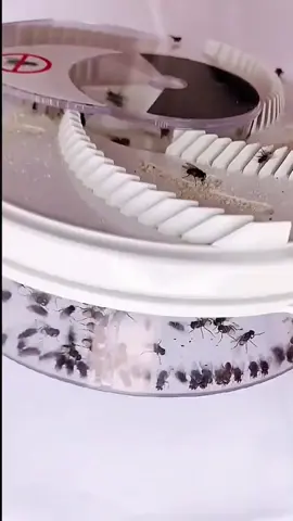 No more worries about flies and insects this summer#fly #flies #trap #electric #tech #fyp #foryou 