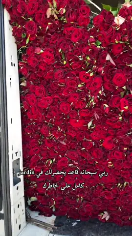 صباح الورد#ورد #roses #fyp #foryou #Summer 