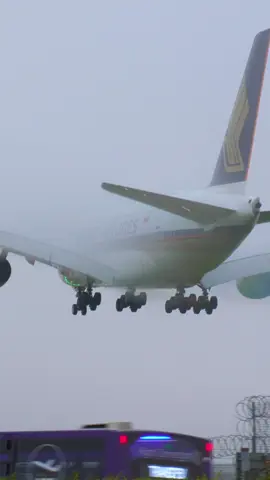 Airbus A380 lands through thick fog 😱 #airbus #aviation #airplane #landing #fyp #foryou