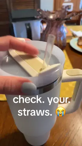 check your straws 😭 when I tell you if I took a sip I wouldve ✨passed away✨ #StanleyCup #stanley #tumbler #straw #bug 