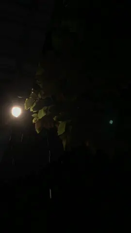 Nghe nói những ngày buồn thì trời sẽ đổ mưa, còn bạn có nghe nói về người ấy bây giờ như thế nào không? #xuhuongtiktok #nhacbuontamtrang #cokhinaoroixa #demmua #fyp #tamsubuon #tiktok #nhachaykhongloi #piano 