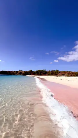 kenangannya udah kena ombak, tapinya warna pink. gimana dong?  #lombok #lomboktiktok #explorelombok #lombokpinkbeach #pinkbeach 