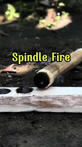Kebakaran Spindle - Bor Busur #fireskills #bowdrill #primitivesurvival #primitivefirelighting 