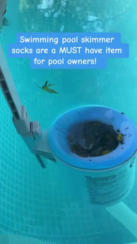 Best swimming pool cleaning hack i found last year! If you have a pool, put the socks on your skimmer basket 🫶 we have hella trees so ours gets changed daily! #pool #cleanpool #skimmersocks #intex #intexpool #asmr #asmrvideo #abovegroundpool #poolcleaning #swimming #swimmingpool #clearwater #roadto10k #followtrain #fy #fypage 