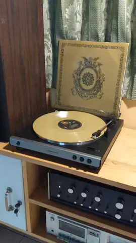 Dewa 19 - Dewi #dewa19 #dewi #kerajaancinta #piringanhitam #vinyl #vinylrecords #turntable #audiotechnica #vintageaudio 