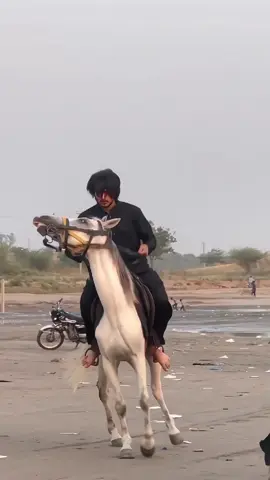 Allah fata illa Ali 🙌🏻❤️ #tiktokpakistanofficial #unfrezzmyaccount #growmyaccount #syed_ali_gillani72 #vairalvideo #foryoupage #growmyaccount #unfrezzmyaccount 