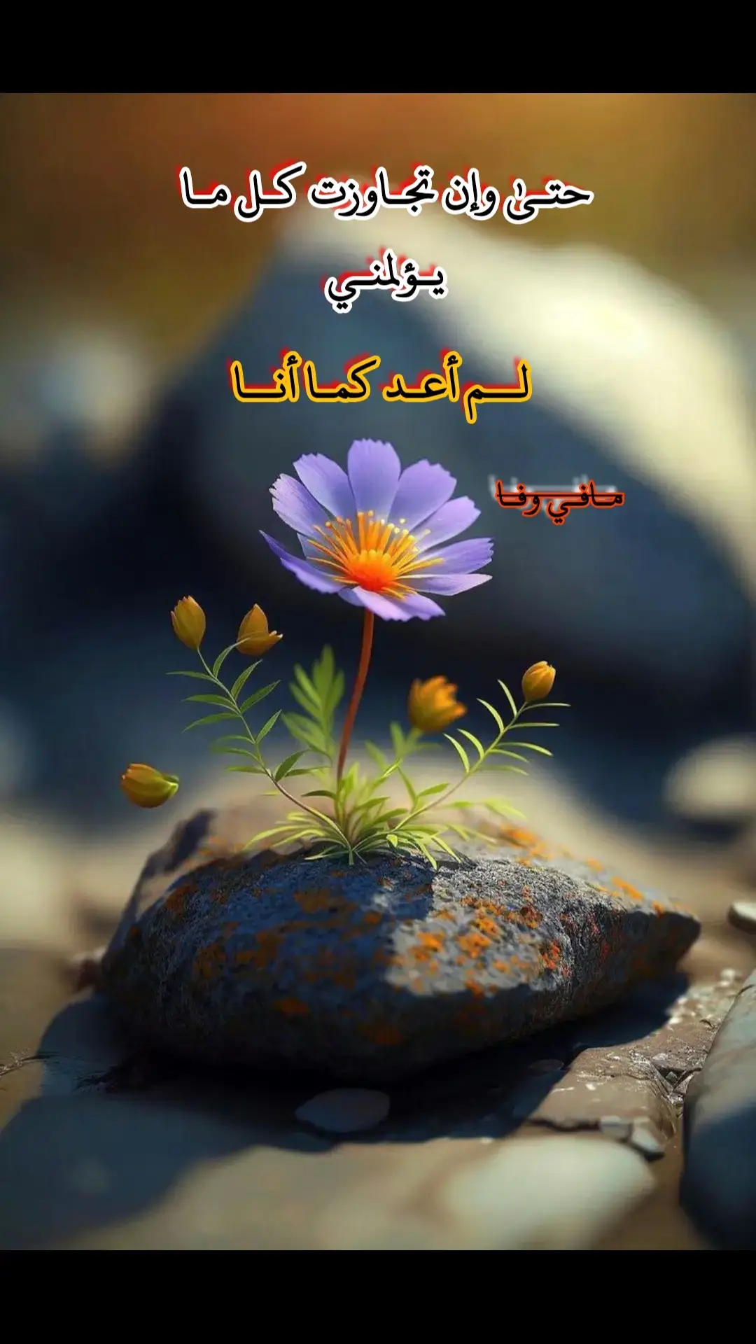 حتى وإن تجاوزت كل ما يؤلمني#مافي_وفااا🖤 #فاقد_الوفى🖤 #عبارات_حزينه💔 #الشعب_الصيني_ماله_حل😂😂😂 #fypシ 