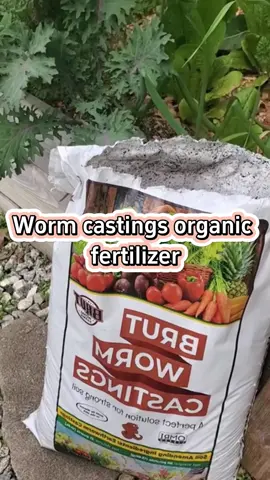 Use this worm casting for the food you plant instead of chemical fertilizers #gardening #garden #gardeningtips #farming #planting #gardentools #wormcastings #soil #fertilizer 
