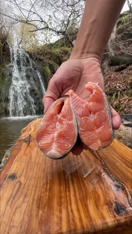Salmon in the Forest?! 😍🔥 #salmon #fish #fishing #cooking #asmr #fyp 