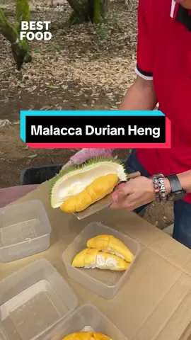 Fastest durian cutting skills
 
 📍Malacca Durian Heng, 77200 Bemban, Malacca
 ⏰9am-7pm
 🎥 @AbangSodok  #MakanLokal #malaysiafood #bestfoodmalaysia #melakafoodie #melaka 