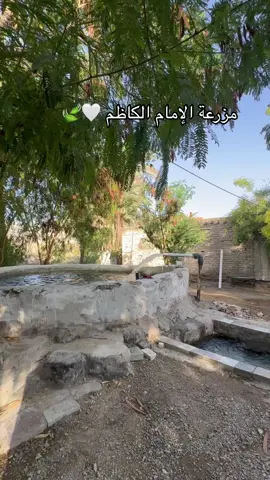 #المدينه_المنوره #المدينه_المنوره_الان #مزرعة_الامام_الكاظم #الشيعة#المسجدالحرام #المسجد_النبوي_الشريف #اكسبلور #اكسبور_erolpxe #اكسبلوررر #اكسبلورر 