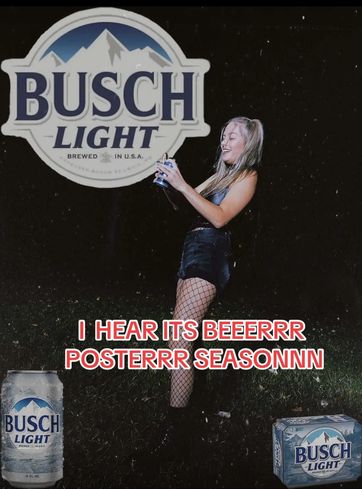 #buschlight #beerposter #buschlatte 