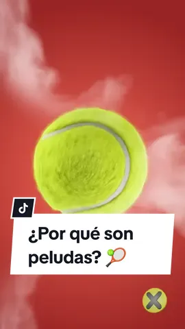 ¿Por qué las pelotas de Tenis son peludas? 🎾 #XpressTV #datoscuriosos #parati #tenis 