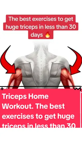 Triceps Home Workout . The best exercises to get huge triceps in less than 30 days 🔥@Sports boy @Sports boy #triceps #tricepsworkout #workout #Fitness #foryou #sports @Workout Home Gym @WorkoutFitnessSport 