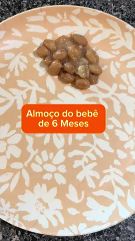 Almoço do bebê de 6 meses !!  🔴 Precisa de ajuda com a introdução alimentar do seu bebê? Te convido conhecer o Guia passo a passo de como preparar e ofertar a comida do bebê que já ajudou centenas de mães! #introducaoalimentar #Introduçãoalimentar #bebe #mae