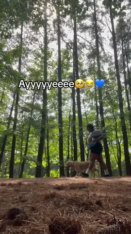 #CapCut 