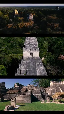 Tikal es impresionante! 🤩🇬🇹 #guatemala #tikal #chapinfilms #parati 