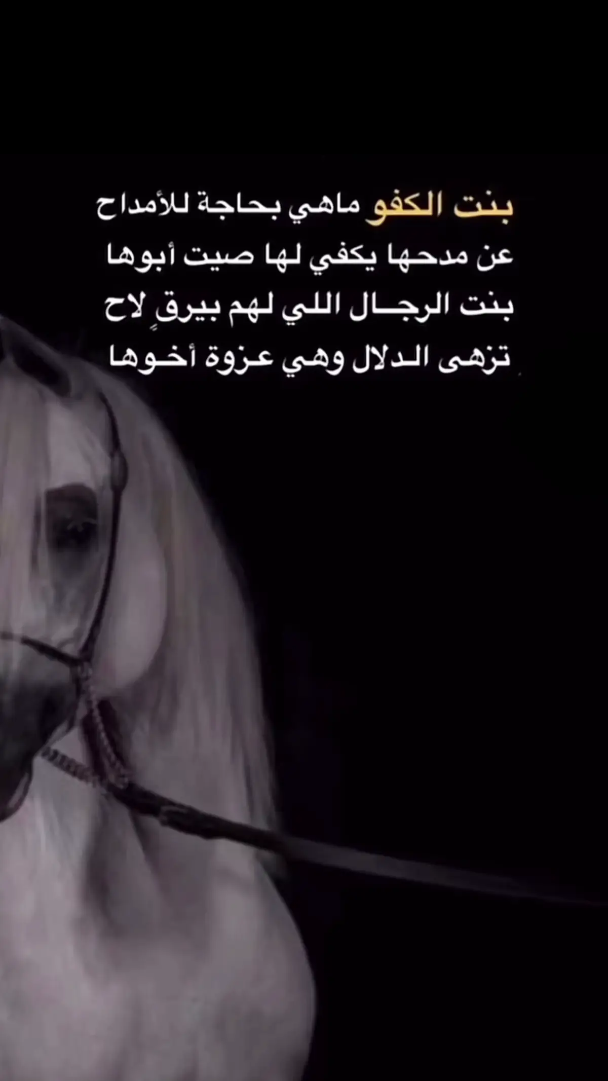 #اكسبلور 
