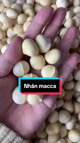 Nhân macca đã được tách vỏ của nhà em  #hatdinhduongtpnut#nhanmacca