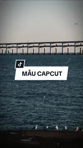 Cô đơn bên anh từng đêm như thói quen l Yêu Ai Cũng Sai Remix #Capcut #xuhuong#nhachaymoingay 