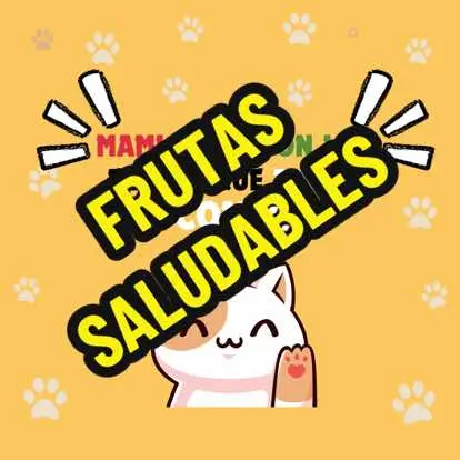 Ya Sabias Que Estas Frutas Son Ideales Para Tu Gatito? 🤔😻 #gatos #gatosfelices #alimentossaludables #gatitos #fyp #parati #mascotas 