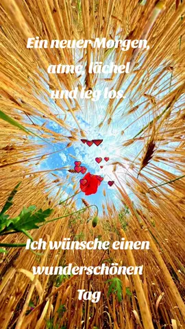 #gutenmorgen #beautifulday #mittwoch #kaffee 