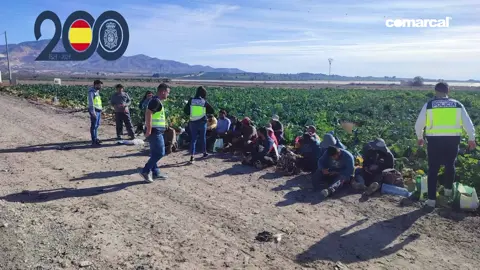 46 personas han sido DETENIDAS en dos explotaciones de la región, en #Alhama y en La Hoya de #Lorca, por delitos contra los derechos de los trabajadores 🚔