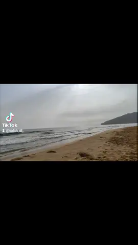 خطأنا الوحيد هي قلوبنا البيضاء وسط بشر خبيث ومنافق ..