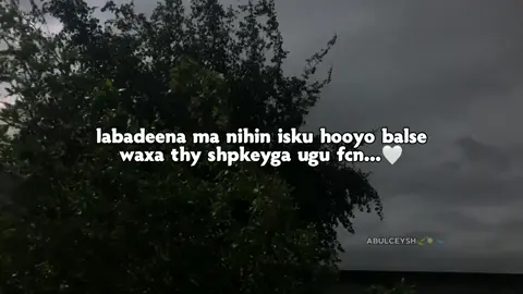 zhpkey🥺🤍#somalitikto #mention #ABULCEYSH #veiwsproblem💔😶 #somalitiktok #somalitiktok #MOHAMETT🤴🏽🇸🇴🇸🇦 #fyp #viral #foryoupage @¹S U٭͜NAM I🦇💕 