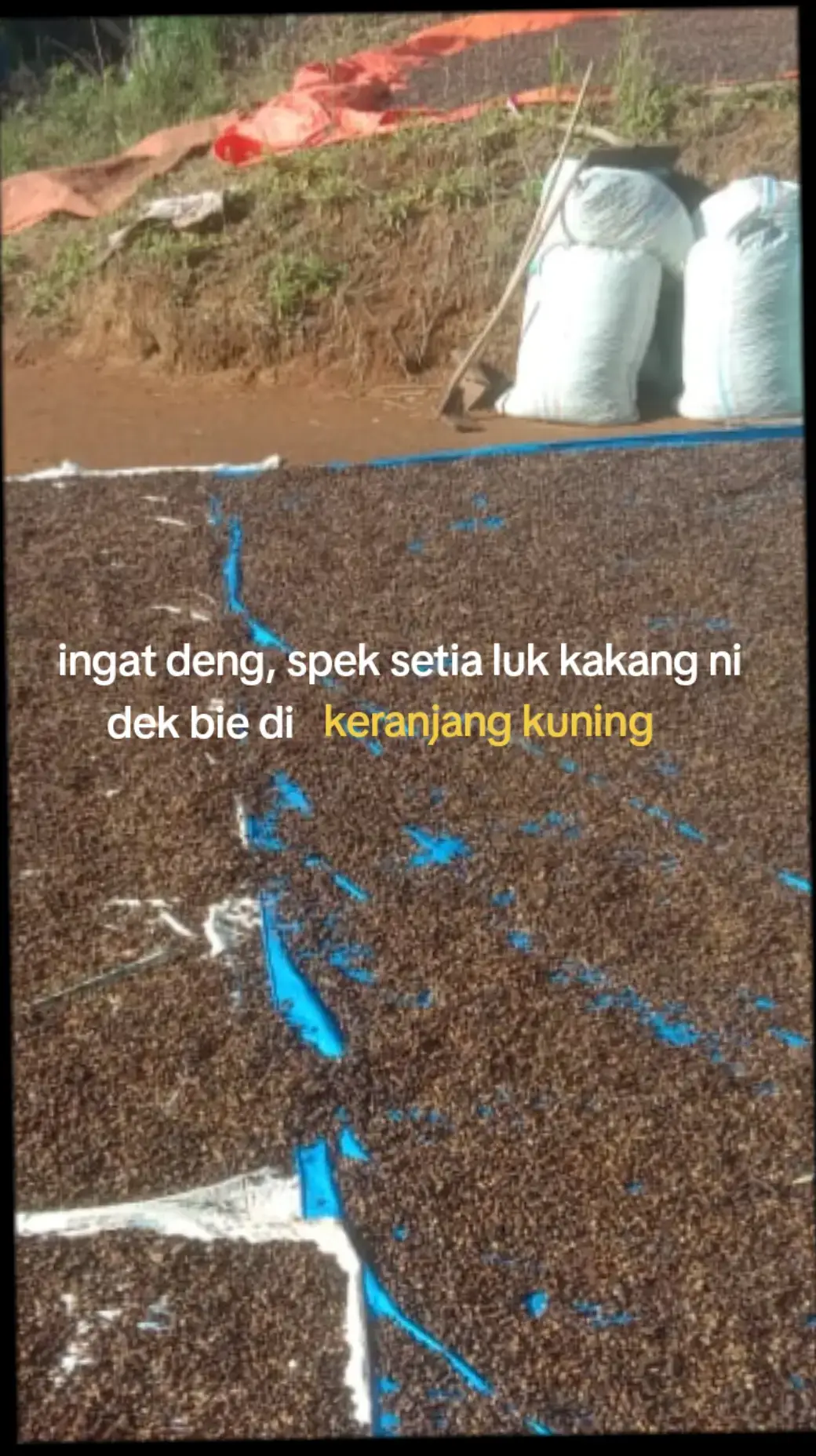 #salamjemekitegale #storygalau #mulakulu #lahat #jemekite #foryoupage #galaubrutal #pagaralam_salam_jeme_kite 