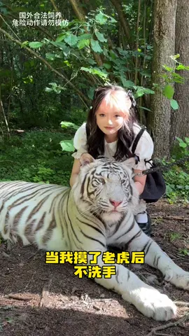 一定要看到最后，有反转！！ #猛兽 #白虎 #反转 #中国功夫#tiktok#foryou#fyp#funny#trending#xuhuong#推薦#熱門#推荐#热门#