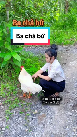 #hothimongtho #co4nuoiga #tho71 @Cô 4 nuôi gà (Acc phụ)  @Cô 4 nuôi gà (Acc phụ)  @Cô 4 nuôi gà (Hồ Thị Mộng Thơ)  @Cô 4 nuôi gà (Hồ Thị Mộng Thơ) 