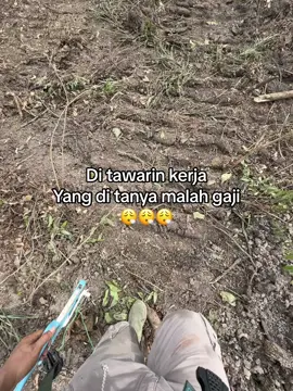 Kerja aja belum🗿😮‍💨#fypage #kerjasawit #bukalahansawit #petanimuda #petaniindonesia🇮🇩🇮🇩🇮🇩🌿🌿 #bosmuda #bossawit 