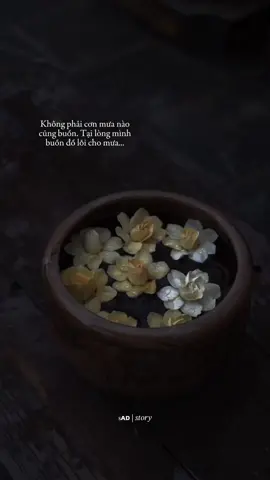 #sadstory #xh #tamtrang #fypシ #foryou #stt #sad #sadstory1510 