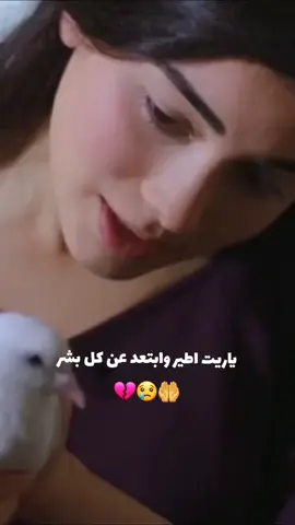 كلمه ياريت بعمرها ما عمرت بيت منحلم ومنحلم ومنحلم رب العالمين وحدو لي بحققلنا احلامنا الله كريم 🥺🥺😔😔🥀🥀 #مساؤؤؤؤ_ورد_وفل_وياسمين 