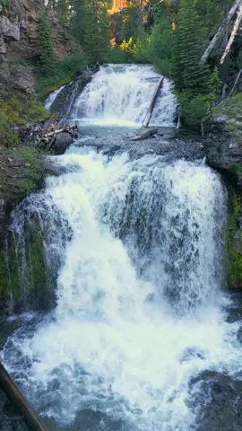 What’s better than a waterfall? Two waterfalls! Double the beauty, double the wonder. Nature’s way of just showing off 😍 #waterfallwednesday #doublewaterfalls #forest #godisgreat #naturesbeauty #oregonstate #pnwcollective 