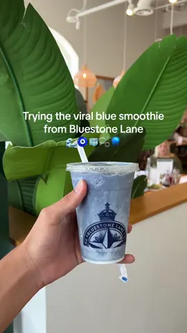 This was my first time at Bluestone Lane, and I did not like their Bondi Blue Smoothie :( I hate to say it, but Erewhon has the better blue smoothie!  #houstoneats #thingstodoinhouston #htx #houston #bluestonelane #erewhondupe #foodreview 