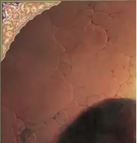 ابن الكعبه يا حياك اللّٰهُ يوالي من والاك🤎 لا يضاهي هذا العيدُ عيداً ولا يّرقىٰ يومٌ لـيومِ الغَدير فهوَ كَمالُ الدينْ وأتمامُ النِعمةِ صممته ونسيت انشره  هل بايعت امير المؤمنين علي بن أبي طالب بقلبك.#‏@شناشيل:#لايكك #متابعه #اكسبلورررر #تابعني #صعدو #مشاهير_العراق #لايف #كيوت #مشاهير_تيك_توك #المطور_مسلم_عقيل #العرب #العراق #الخليج #تيم_الرافدين #فلتر #ترند_جديد #تفاهه #تصميم #المصممين #تاك #فولو #تفاعل