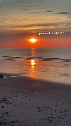 my favorite place