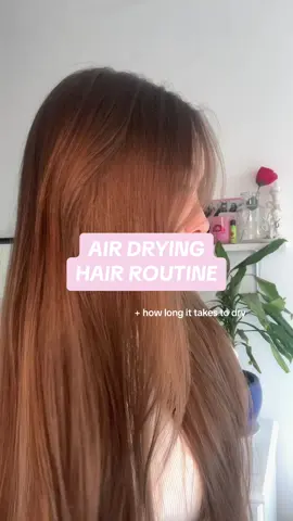 Air drying routine & how long it takes to dry🤍 Thank you for watching🤍 #noheathairroutine #airdryinghair #noheathair #healthyhairtips #hairbrushing 